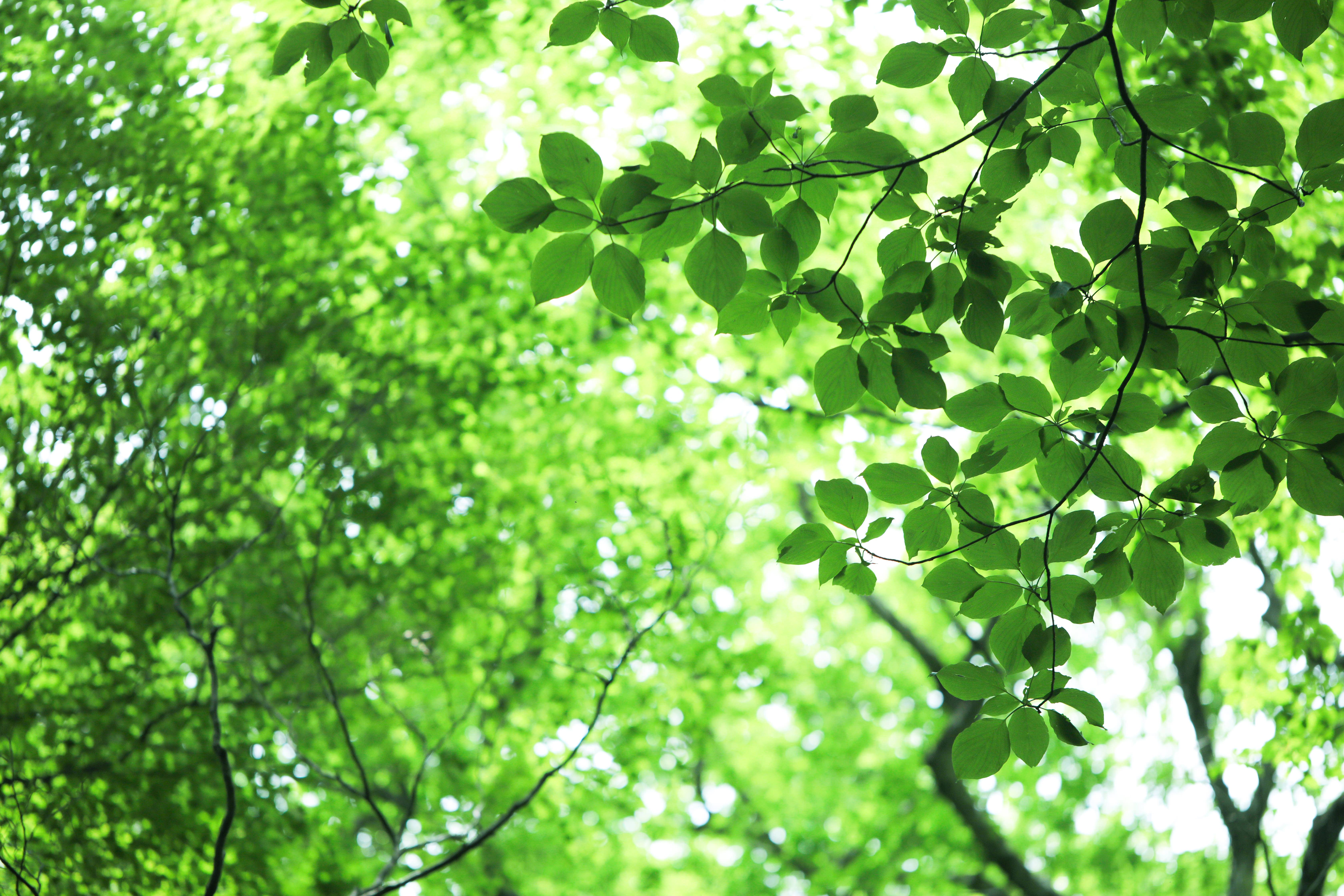 商用OK・登録不要無料イラスト素材ダウンロードサイト 14選 2024保存版 ゆきママの子育てぶろぐ