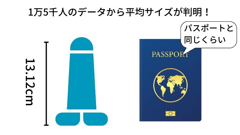 短小包茎とは！短小は何センチから？日本人の平均サイズや治療法 - アトムクリニック - atom-clinic