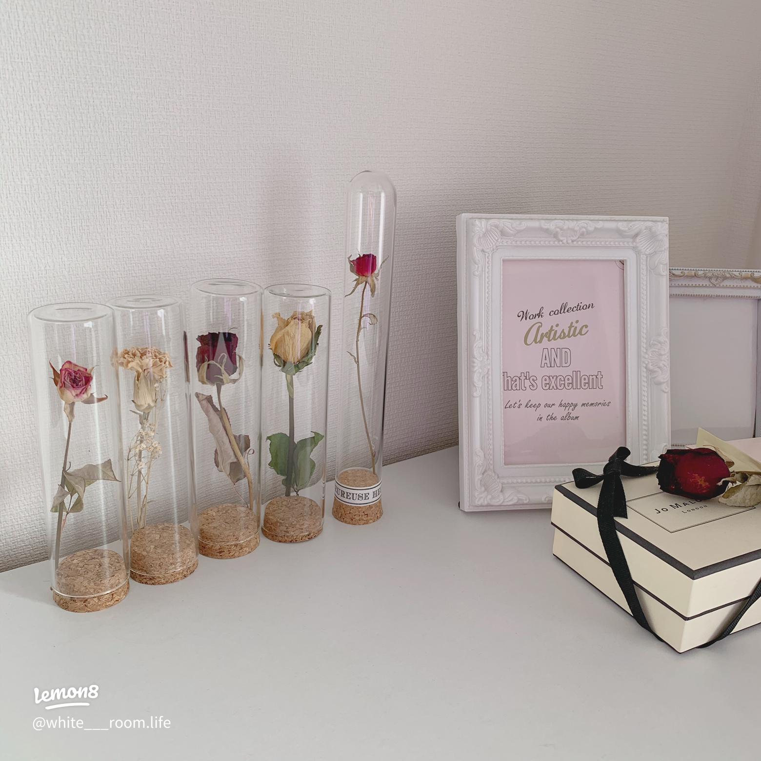 リピ買い必至！ キャンドゥ 「二度見案件」「ストックがひと目でわかる」大ヒット2選サンキュ