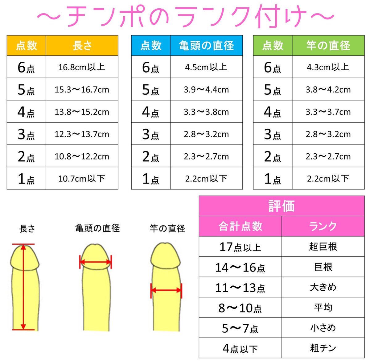 短小包茎とは！短小は何センチから？日本人の平均サイズや治療法 - アトムクリニック - atom-clinic