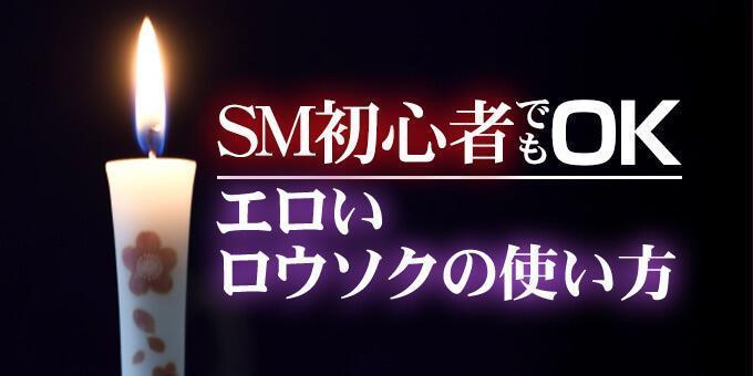 和風絵柄のＳＭ専用低温ローソク | 大人のためのアダルト通販情報アナシー