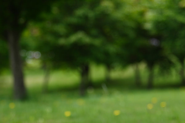 合成用背景 クロマキーグリーン背景紙：2.72Ｘ5.5m│背景紙や照明機材、カメラ用品、ストロボ機材なら LIFE MARKET