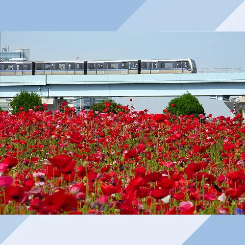 ゆりかもめ開業30周年特設ページ株式会社ゆりかもめ