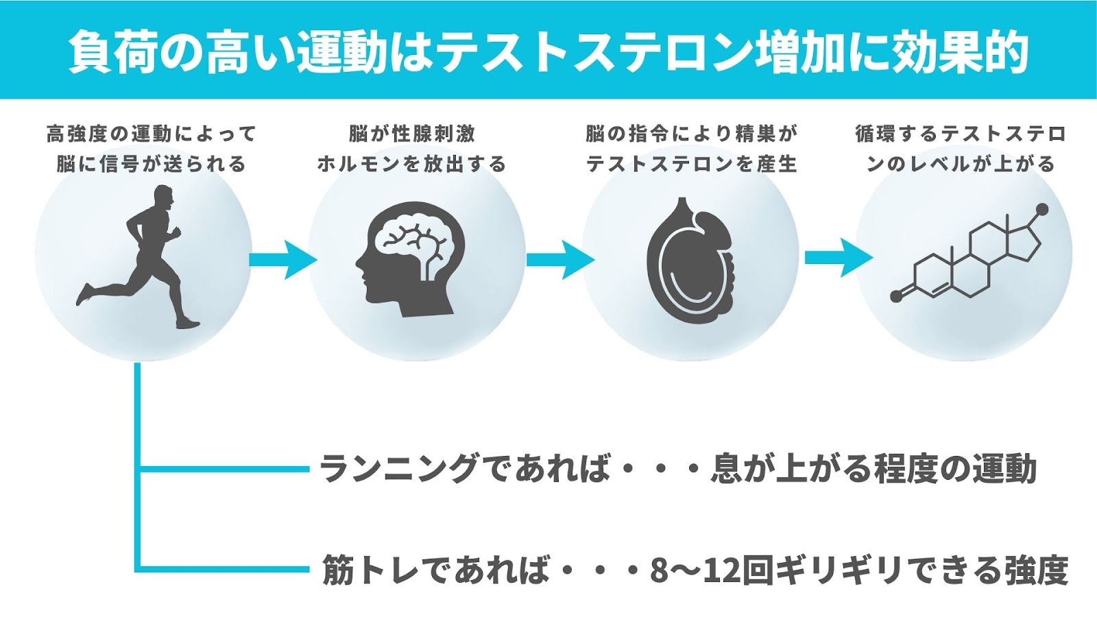 フル勃起しない原因4つとペニスを硬くする方法15選 | ナイトプロテインPLUS