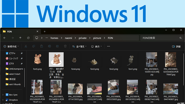Media Preview のダウンロードと使い方 - ｋ本的に無料ソフト・フリーソフト