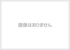 ホームズ】ストーンパースリ(船橋市)の賃貸情報