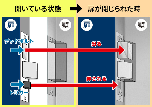 ビル・マンション向けIPインターホン Comelit 株式会社ナカヨ