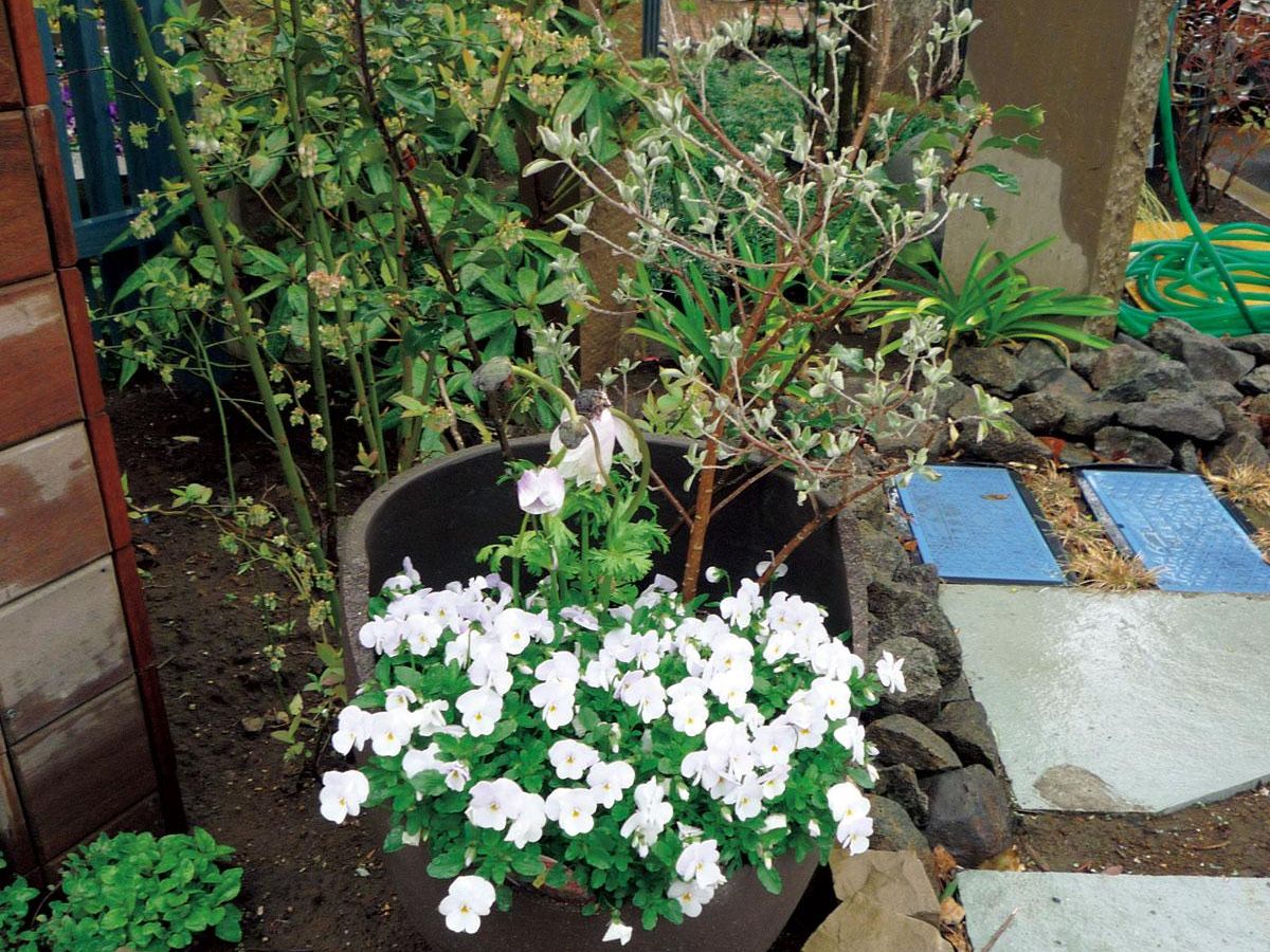 デニム風のリメ缶とリメイク鉢の手作りアイデア