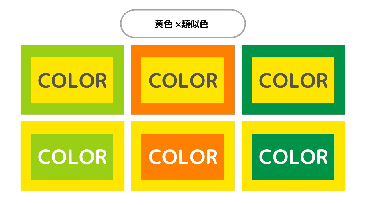 水色と黄色の相性抜群☆セキセイインコ レインボーパイド