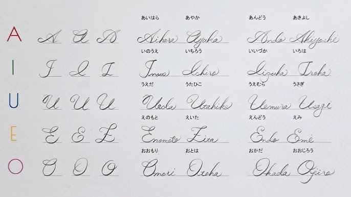 ザラザラペンアイビスTikTok