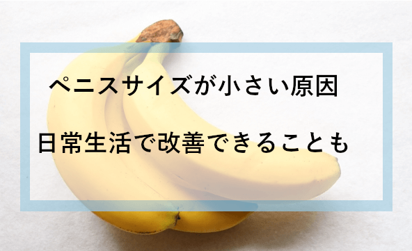 ちんこの平均サイズは何cm？男が気になる日本人の大きさが判明！