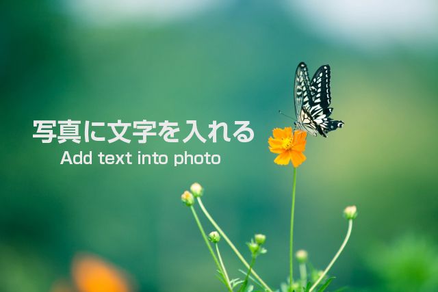 あるあるタイポ。誰でもできる文字加工のデザイン集株式会社エムディエヌコーポレーション