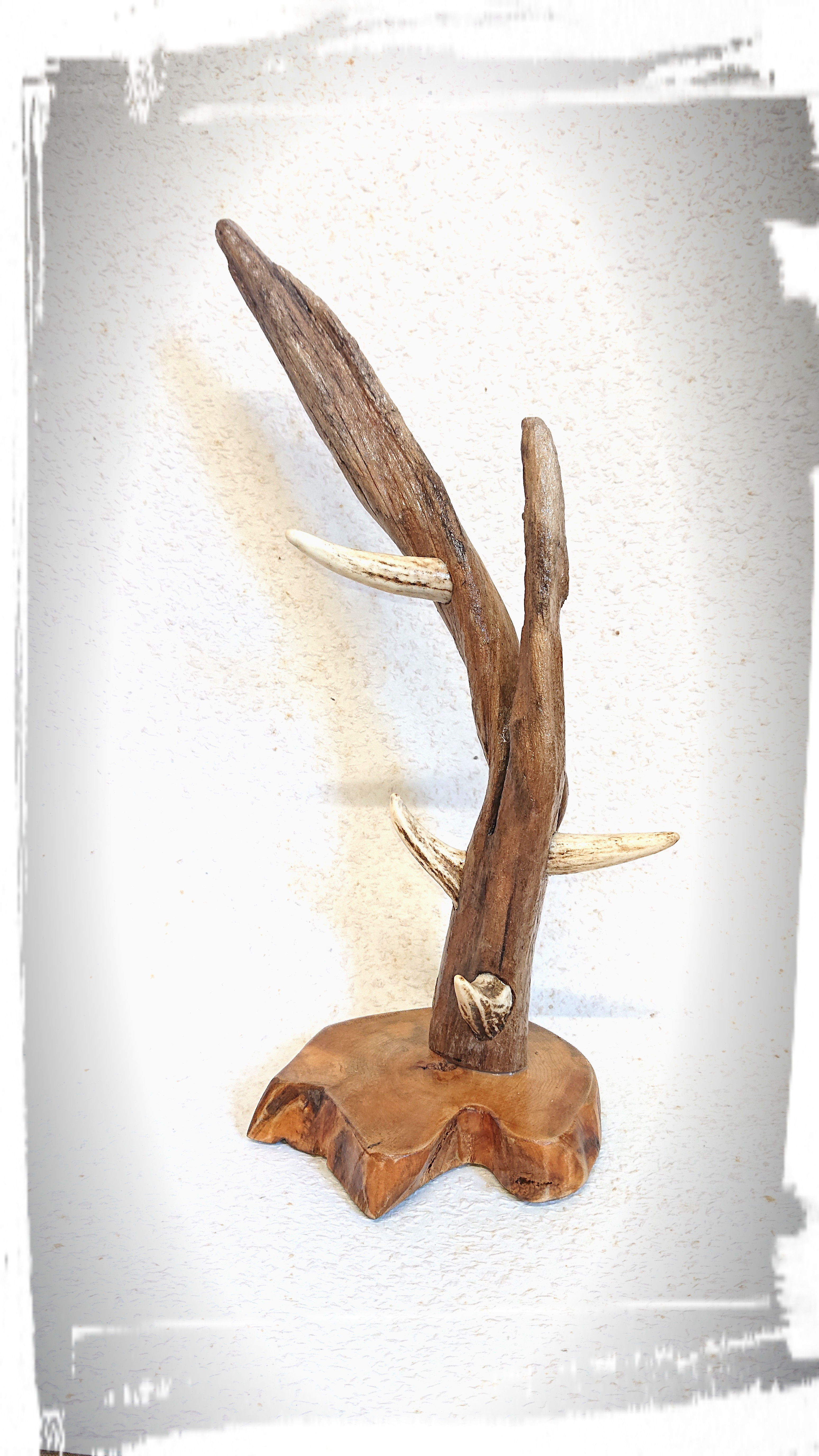一点物 楠木 鹿の角 アクセサリースタンド 壁掛けオブジェ
