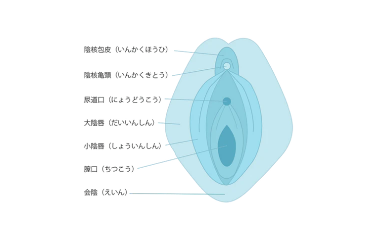 巨クリ】クリトリスがでかい！ 平均サイズや原因・対策方法を解説 |