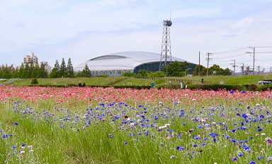 湘南コスモス】賃貸物件情報（神奈川県平塚市）｜タウンハウジング e