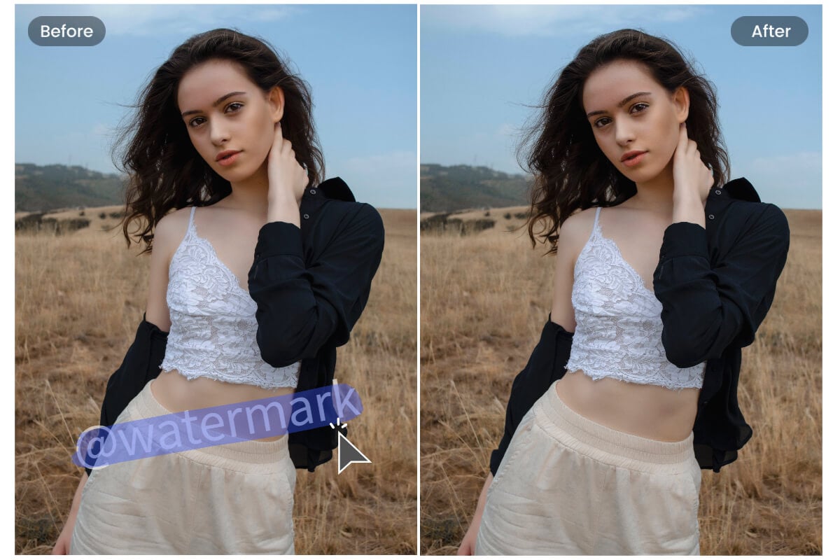 無料の文字消しサイト：AIで写真の文字を消す AI Ease