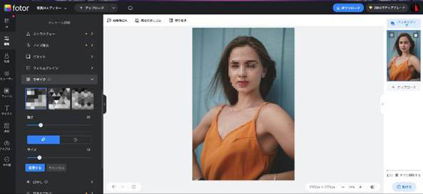 PhotoMosh 手軽に画像をグリッチ加工できる無料サイト : うさぎ小屋