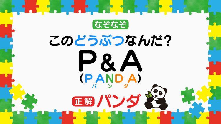 カドヤ食堂のなぞなぞ」 U-15 12月27日(金) 14：00 |