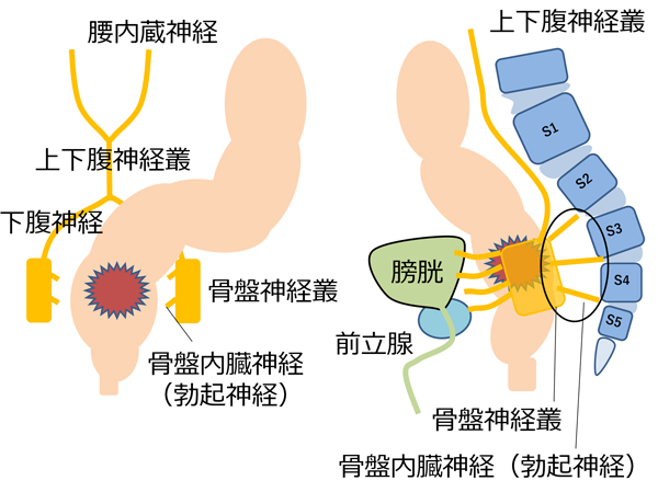 金原出版