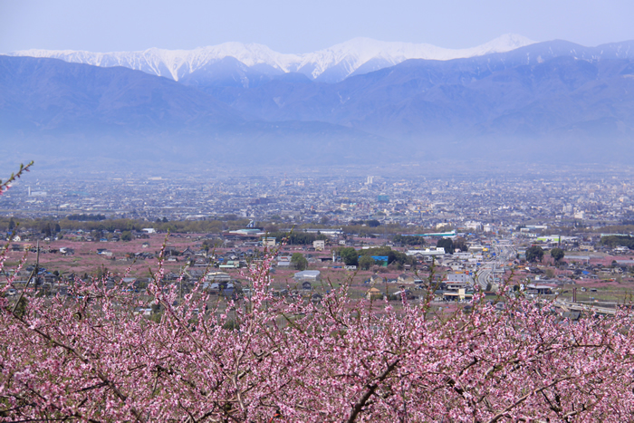 笛吹桃源郷 笛吹市一宮町富士の国やまなし観光ネット 山梨県公式観光情報