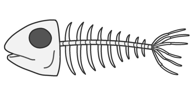 1,862 魚の骨 Stock Photos, High-Res Pictures, and Images - Getty Images