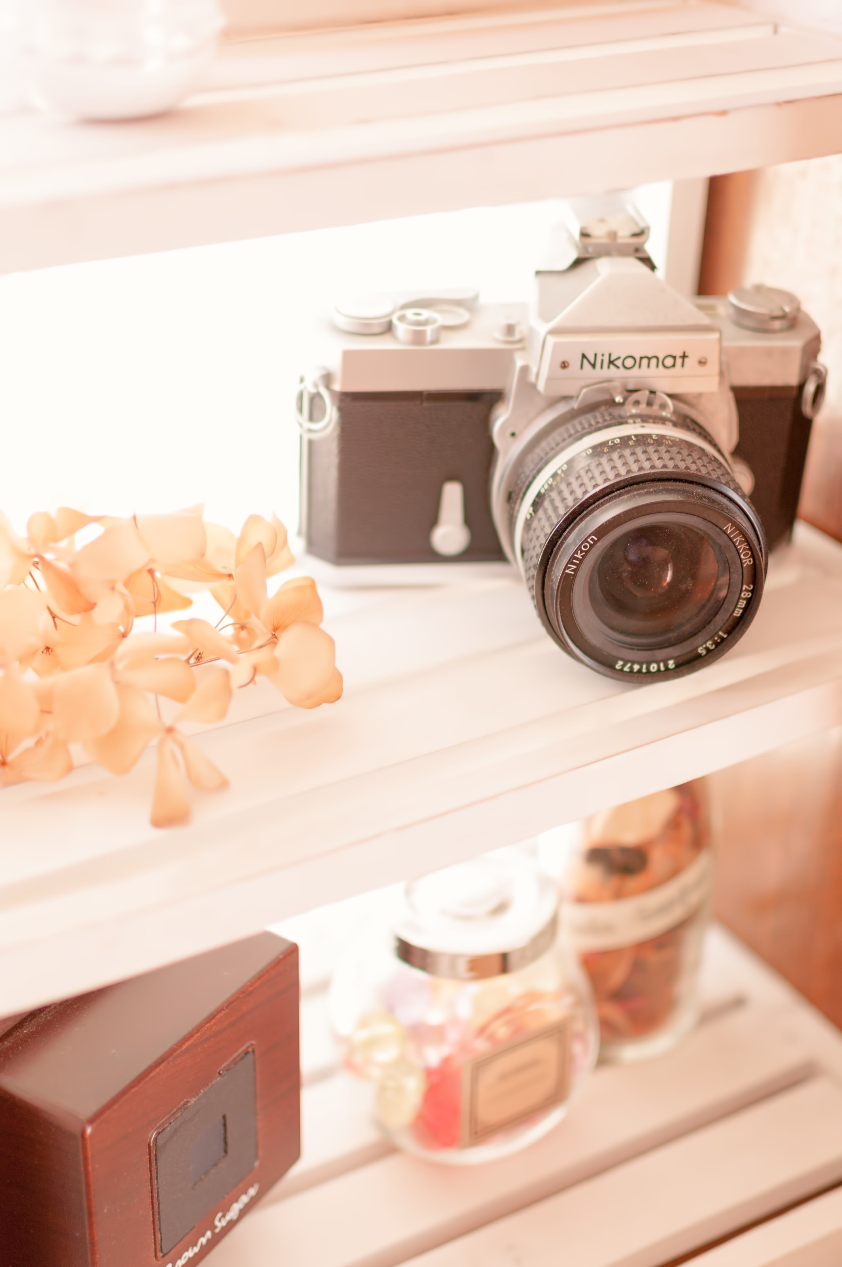 カメラのフリーイラスト素材一覧商用可