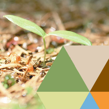 女性向け ホームページに使える15のカラーパレットと使用シーンDressing