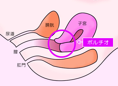 手マンのやり方と上達のポイントとは？気を付けたい3つの注意点も | 梅田の風俗・ホテヘルなら未経験娘在籍店【スパーク梅田】