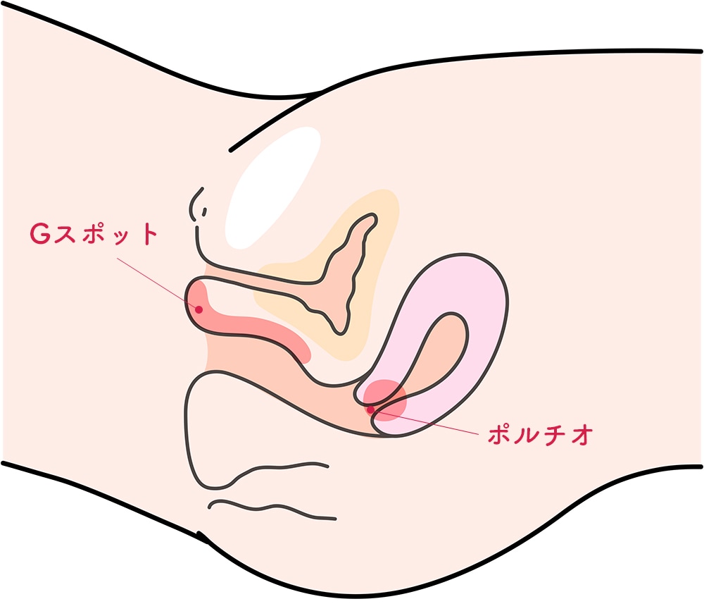 プロが教える、本当に気持ちいいＧスポットの攻め方