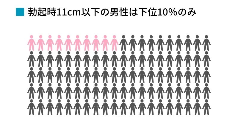 ペニスの平均サイズ | ネットのくすり屋さんコラム