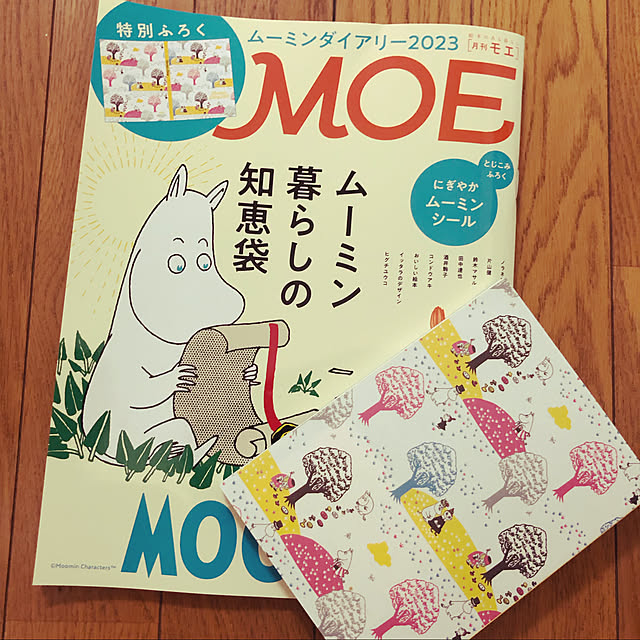 ライフスタイルショップ MOE（モエ）｜広島県福山市