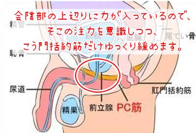 セクテクチャンネル on X: 