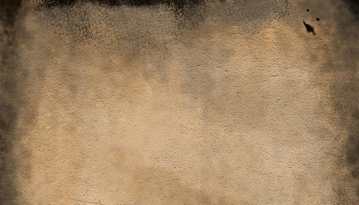 無料で使える紙の質感素材オリジナル紙袋の製作講座 井上紙袋