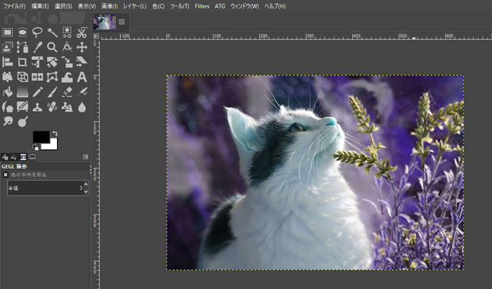 無料 写真の色を反転する方法とおすすめアプリ・ソフト 5 選 2025年最新版