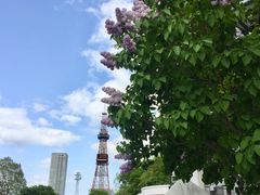 炭焼きイタリアン酒場 炭リッチ すすきの 南4条本店（すすきの/居酒屋）