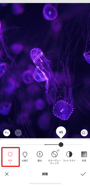 暗い写真を明るく、明るい写真を暗くする方法~Adobe Lightroom Classic~「クリーティフ」Creatif