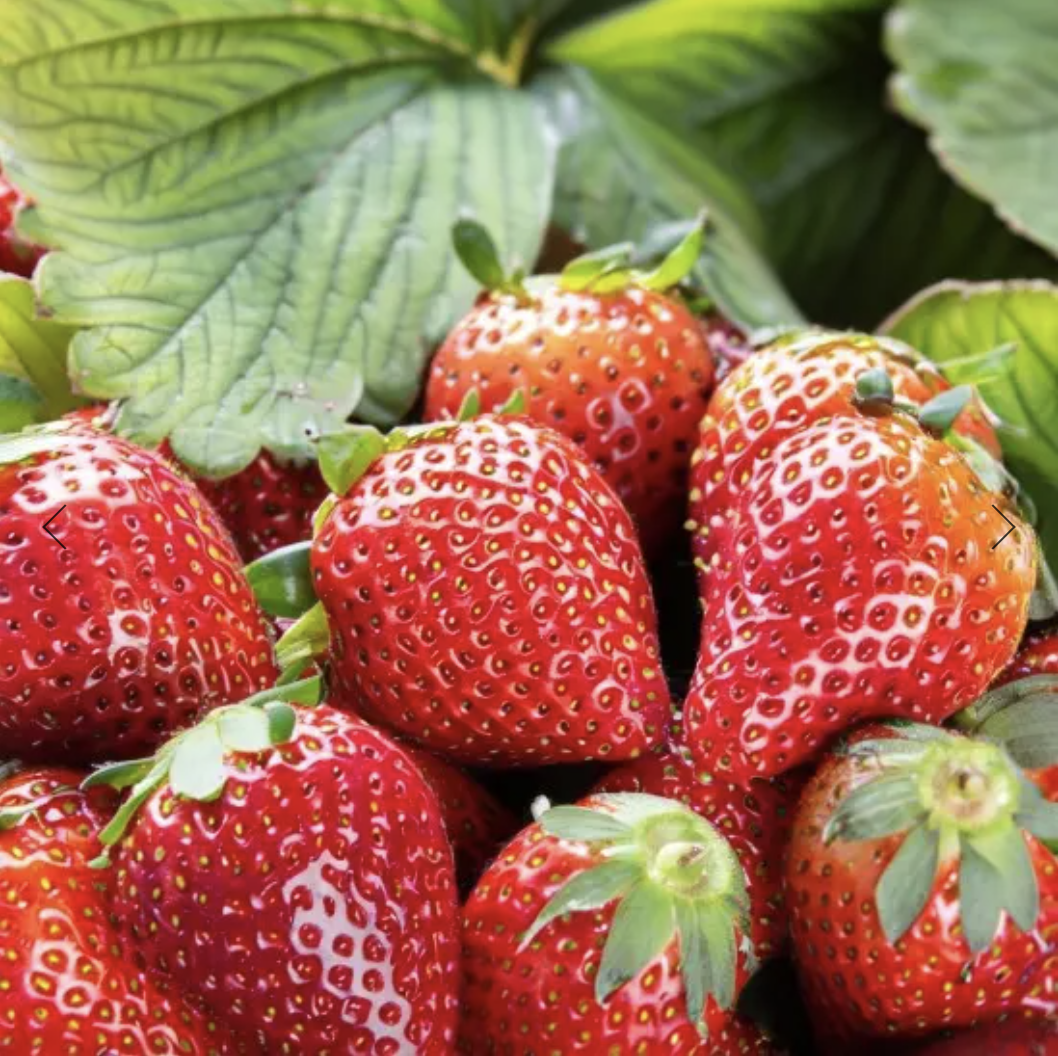 カラーミーショップの商品画像の最適化を実施しました - Pepabo Tech Portal