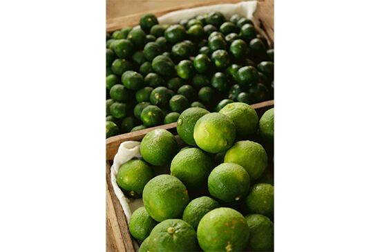 貴和クリスタル ＃4120シトラスグリーン F