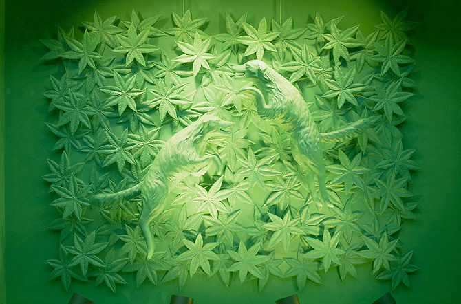 ウィンドウディスプレイ変更♪ 春夏本格始動!!DANJO staff blog - 楽天ブログ