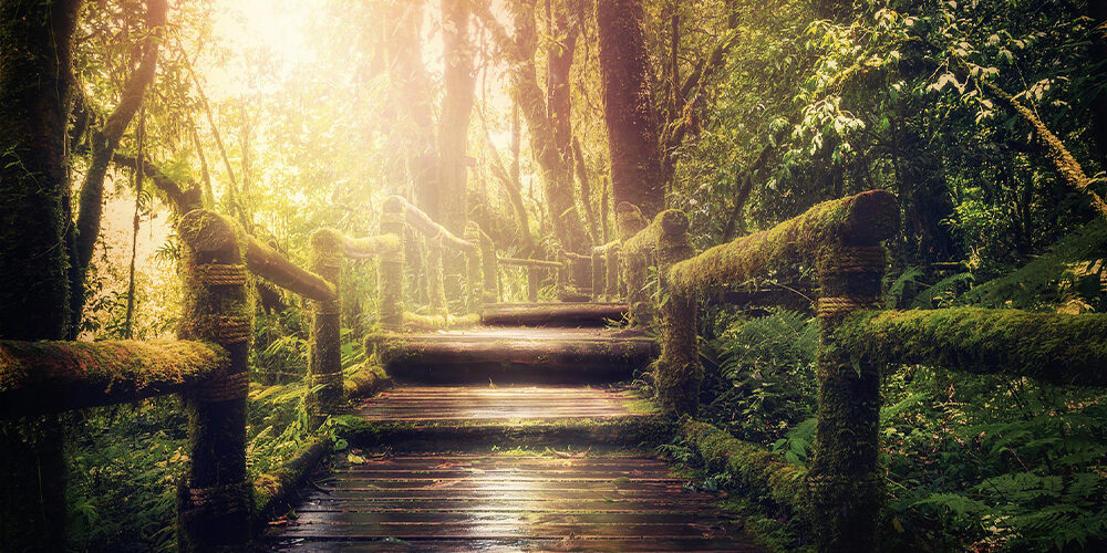 おしゃれ！フリーイラスト素材サイトのまとめ 商用利用無料デザナビ