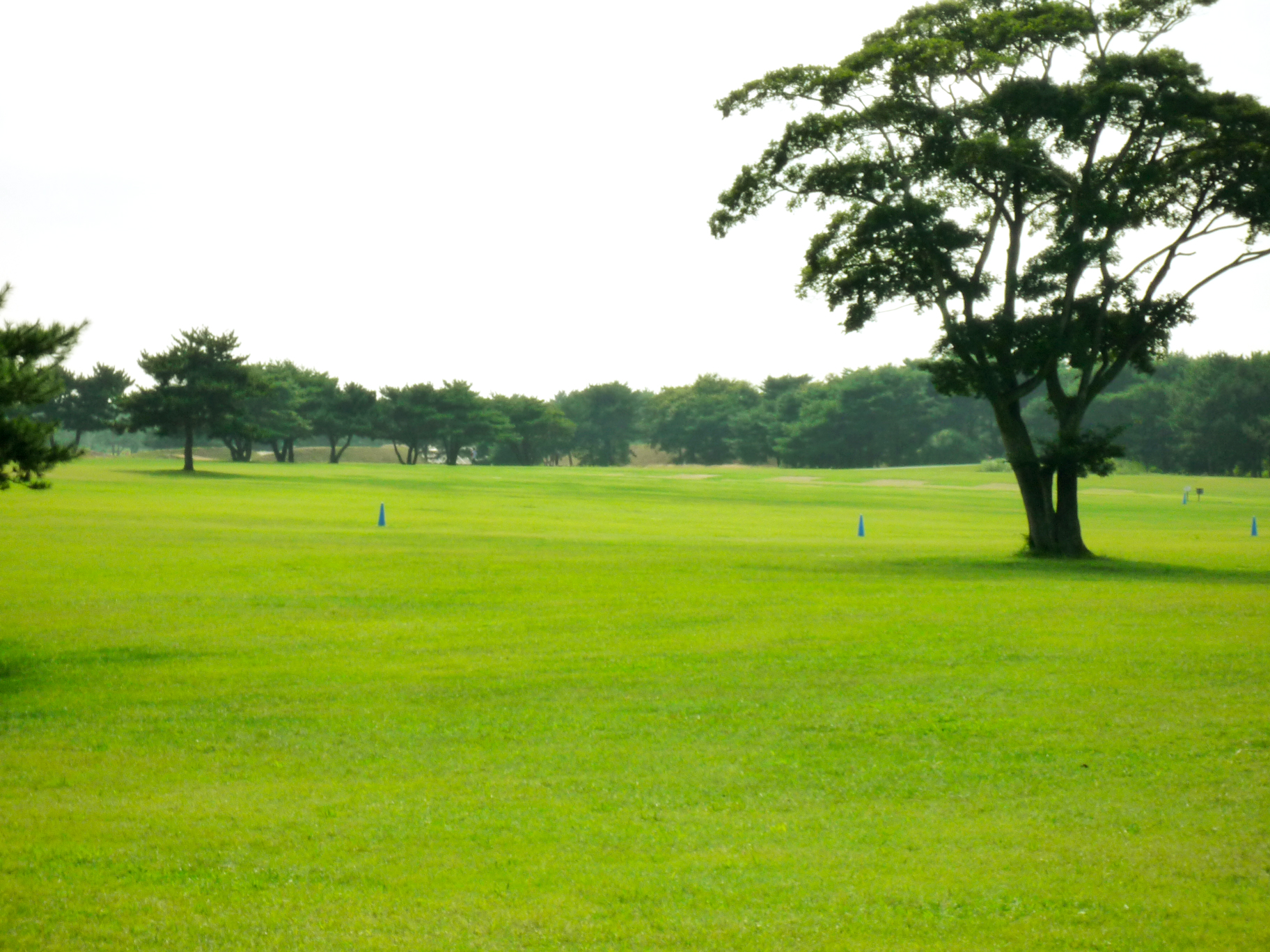 写真ACに女性写真素材を公開商用可＆小サイズ無料で今すぐ活用