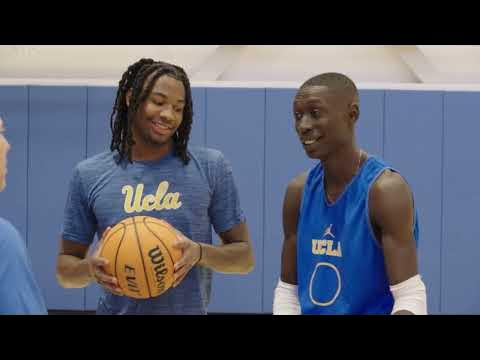 カメマンネン-53 – メガネストアー 公式オンラインショップ