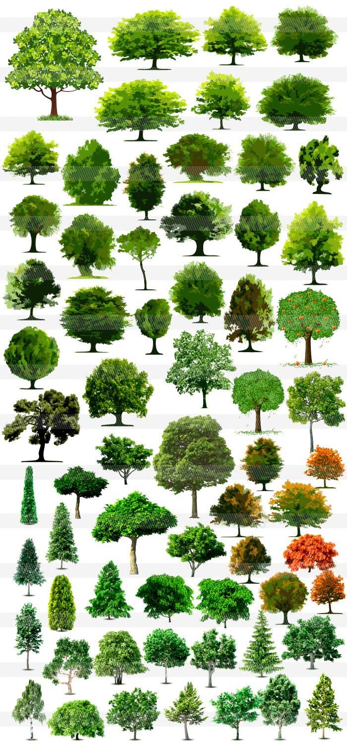 Illustratorで木のシルエットを描いてみようBACKSTAGE技術部