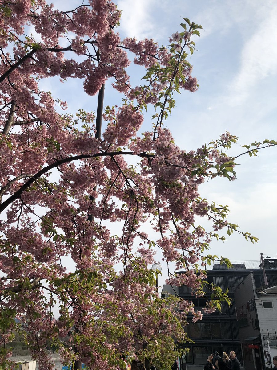 京都府 京都市中京区・河原町・三条 ホテル ロテル・デ・フルール京極 基本情報