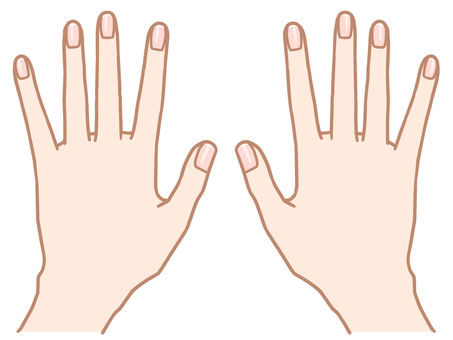 手のイラスト1-2 PNGえんぴつ素材