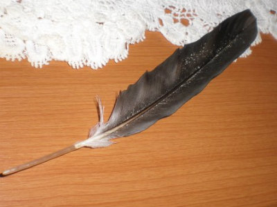 羽根ペン色指定不可100円ショップ 100円均一 100均一 100均: 100円雑貨&日用品卸-BABABA - 通販 -Yahoo!ショッピング