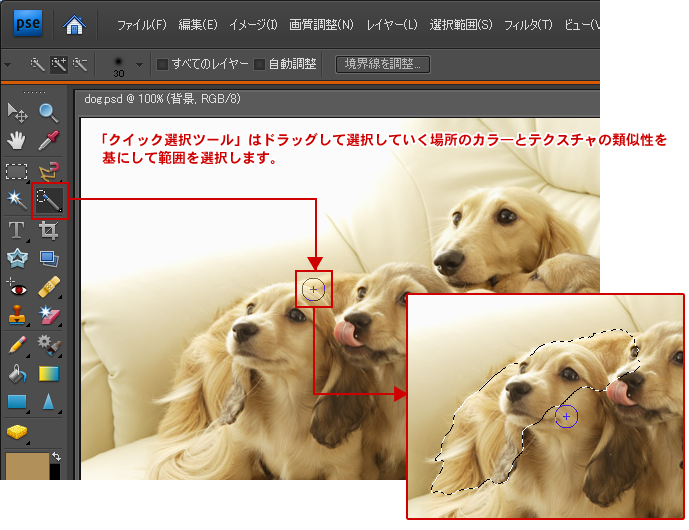 Photoshop新機能！オブジェクト選択ツールつかった被写体の切り抜きや選択の時短テクニック3つまとめPhotoshopVIP