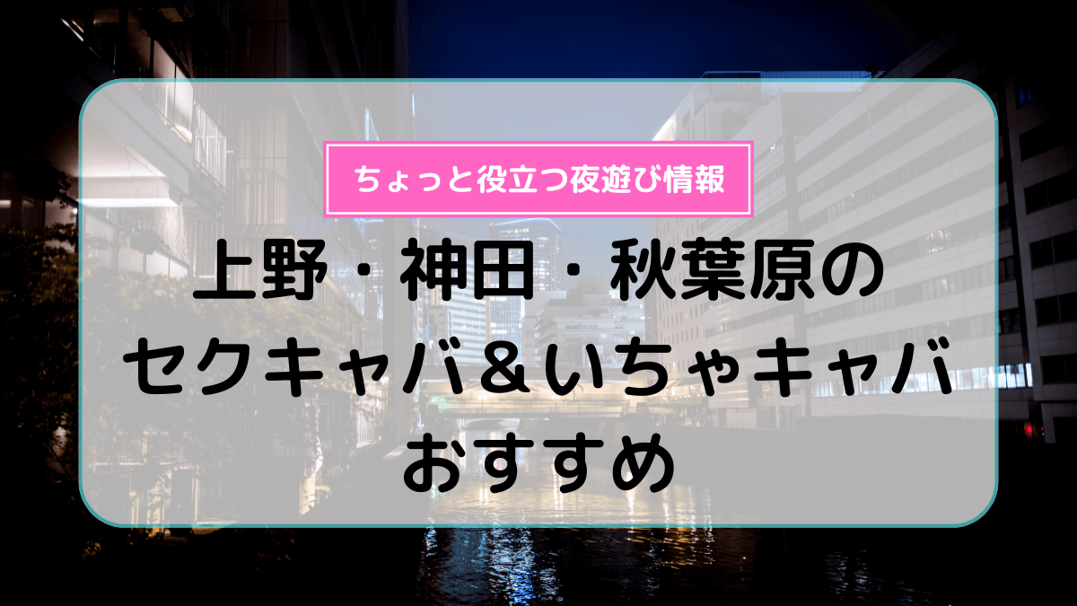 本番体験談！盛岡のセクキャバ6店を全12店舗から厳選！【2024年】 | Trip-Partner[トリップパートナー]