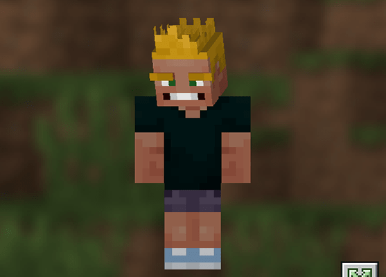 著作権全譲渡！ かわいいマイクラスキン作ります希望要望なんでもござれ。かわいくお安く仕上げます。 イラスト依頼・販売 つなぐ