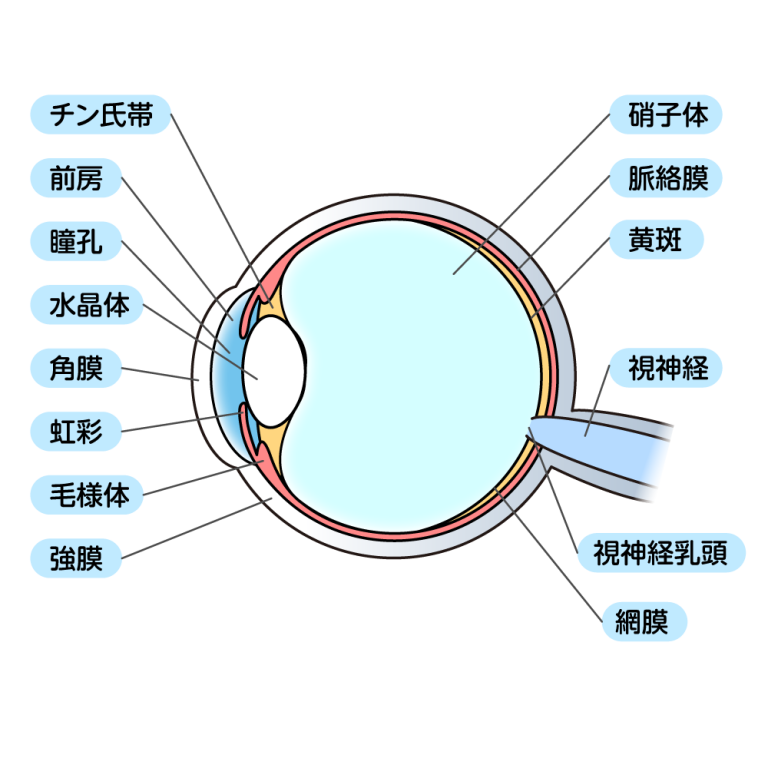 建築構造イラスト無料イラスト・フリー素材なら「イラストAC」